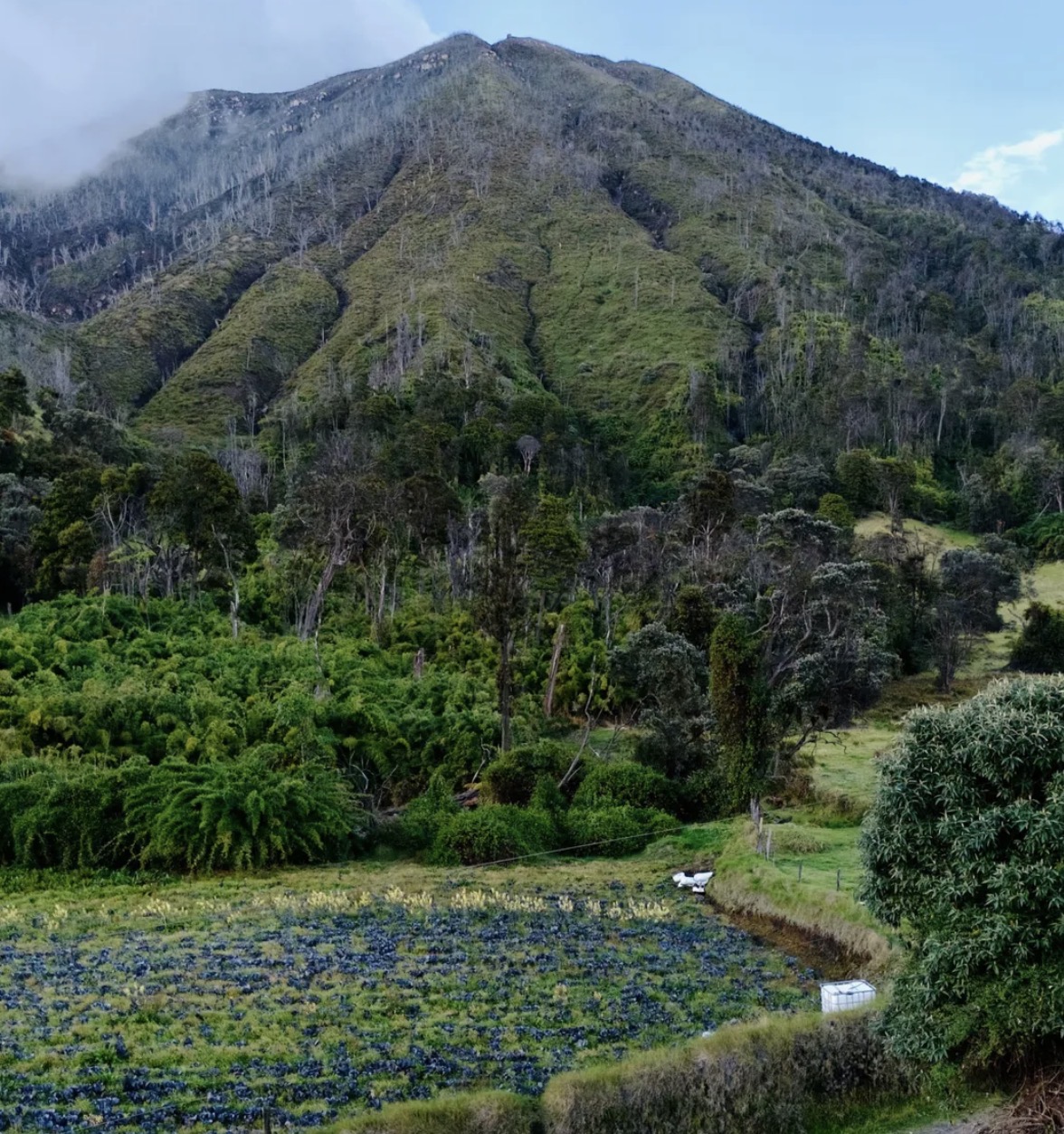 Volcán Turrialba, bosque y cultivos en el entorno de La Pastora