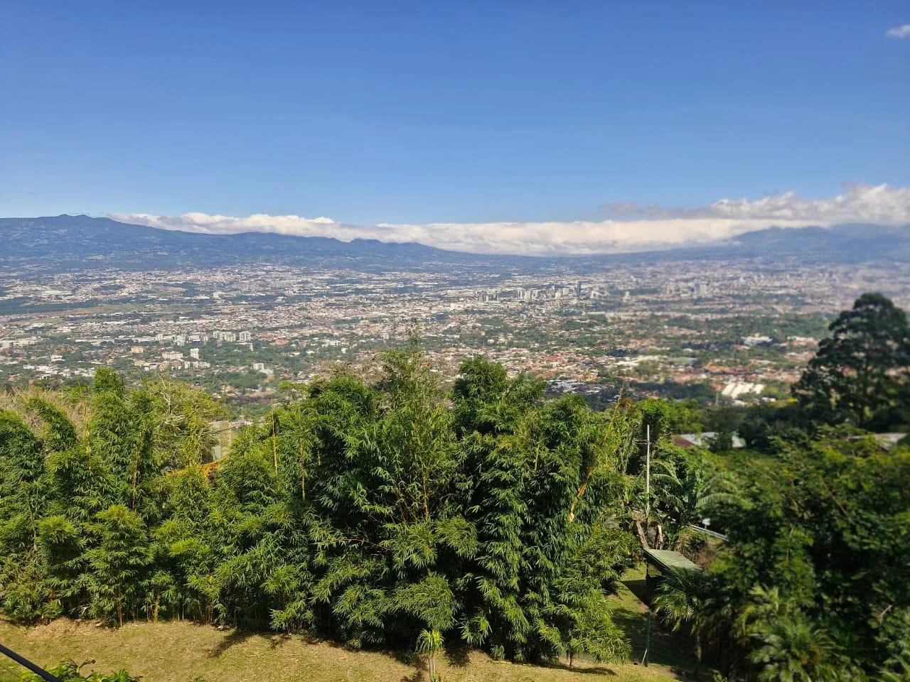 Panoramic city views