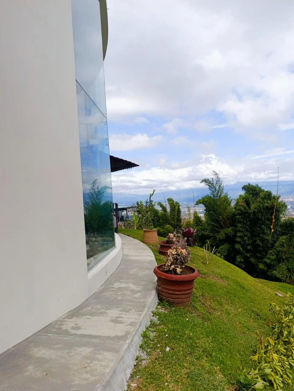 Side garden