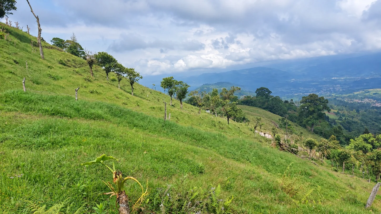 Panorámica del terreno y el valle