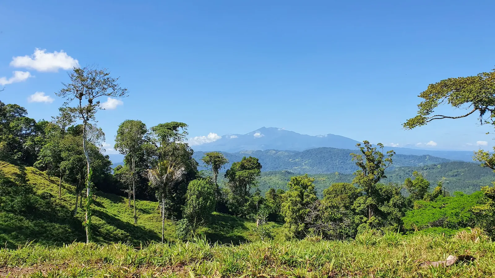 Paisaje boscoso con el Volcán Turrialba al fondo