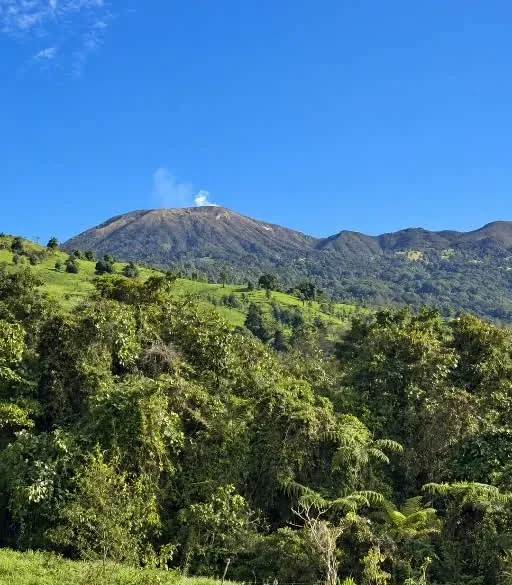 Volcán Turrialba y paisaje verde