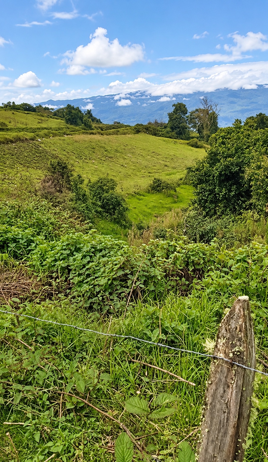 Amplitud y paisaje de la finca