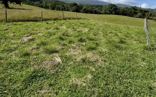 Paisaje de los terrenos de La Pastora