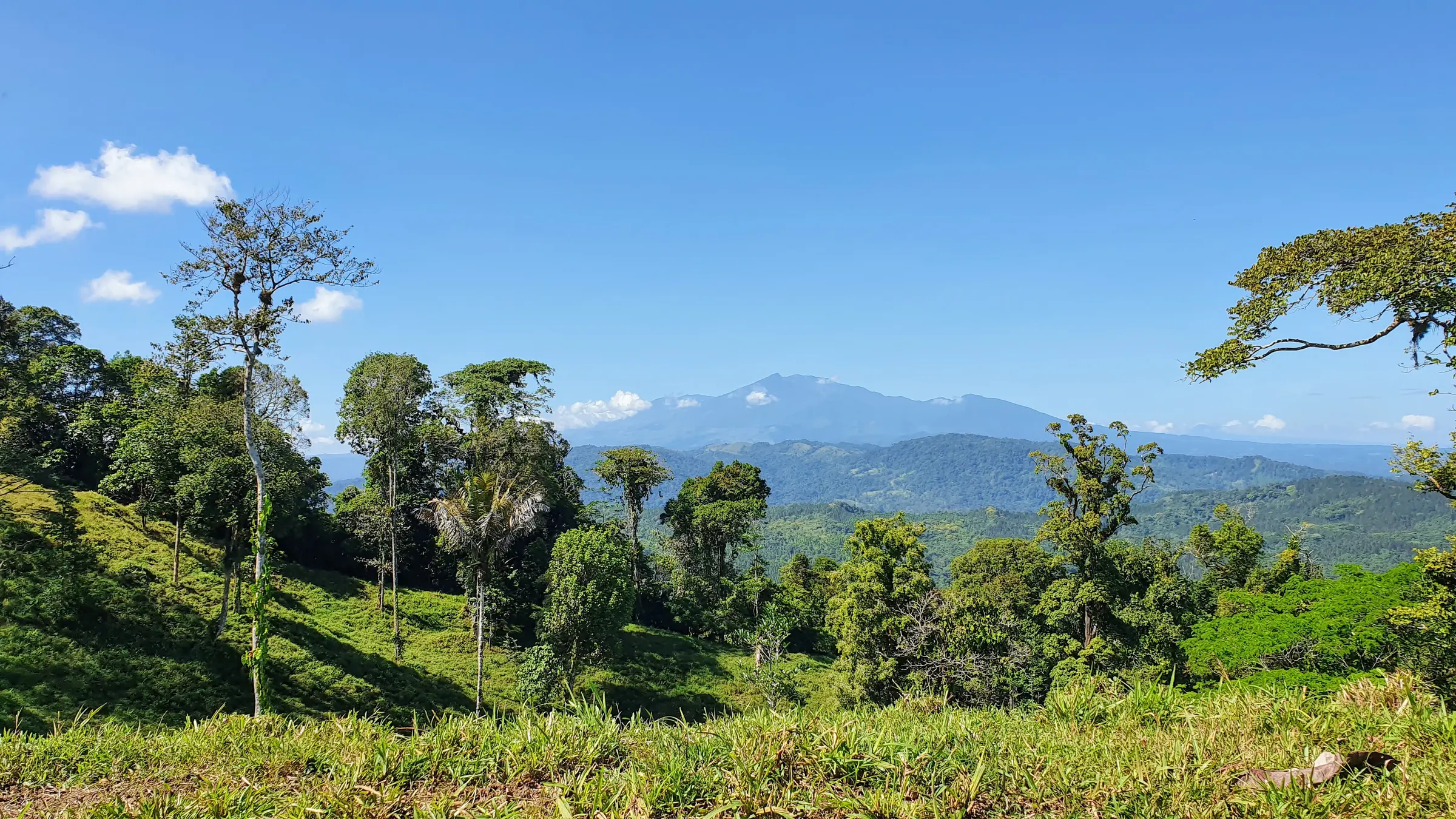 Paisaje boscoso con el Volcán Turrialba al fondo