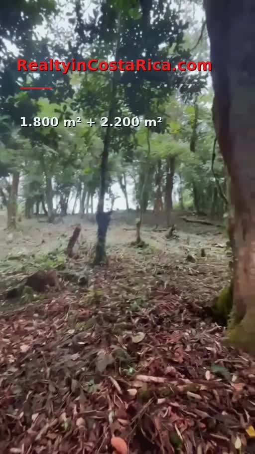 Terreno de los dos lotes de 4.000 m²